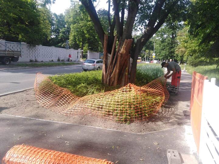 Zakończyła się mała piesza inwestycja na Popowicach, dzięki której pojawiło się nowe przejście przez ul. Wejherowską. Sprawdź jakie prace zostały wykonane.