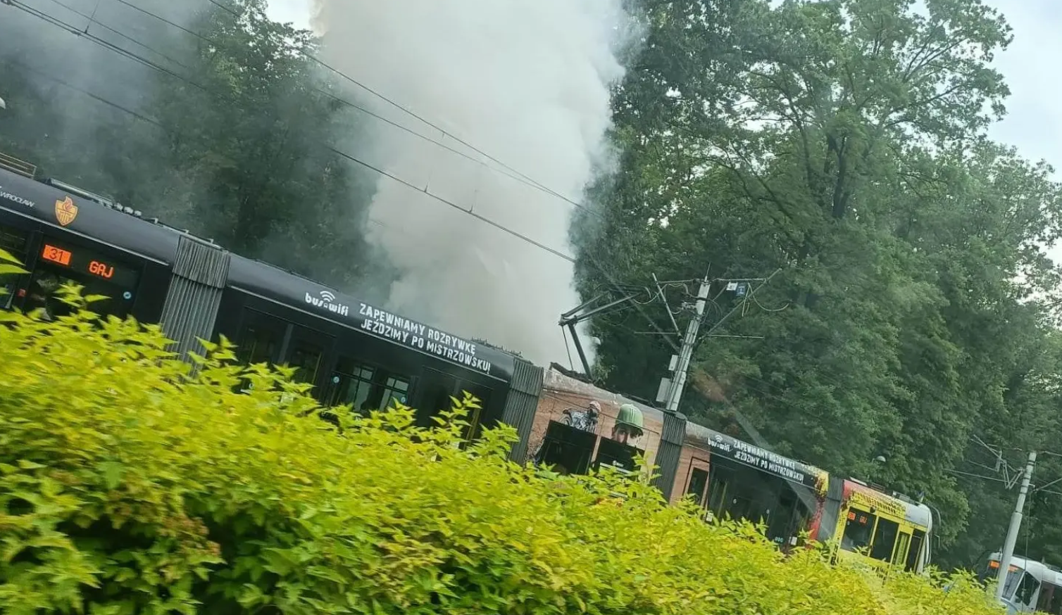 Przy ul. Pilczyckiej, na wysokości Parku Zachodniego, doszło do kolizji tramwaju z kosiarką do trawy. W związku z tym występują utrudnienia w ruchu tramwajów.