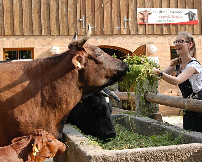 Ruszyły już rezerwacje apartamentu Pandzia dziupla w Zoo Görlitz na rok 2024. Dla gości zaplanowano wiele atrakcji.