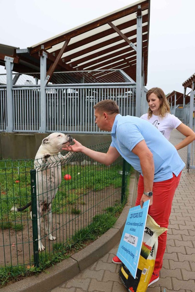 W sobotę Wrocławski Park Wodny zorganizował Weekend z Psim Patrolem i zaprosił wolontariuszy z TOZ. 