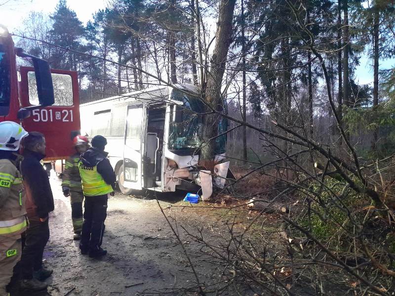 Na drodze pomiędzy Gogołowicami i Marchwicami autobus szkolny zjechał z jezdni i uderzył w drzewo